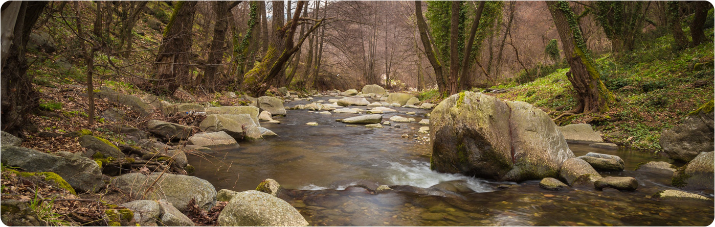 Stream 1