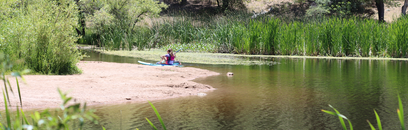 lake paddleboards