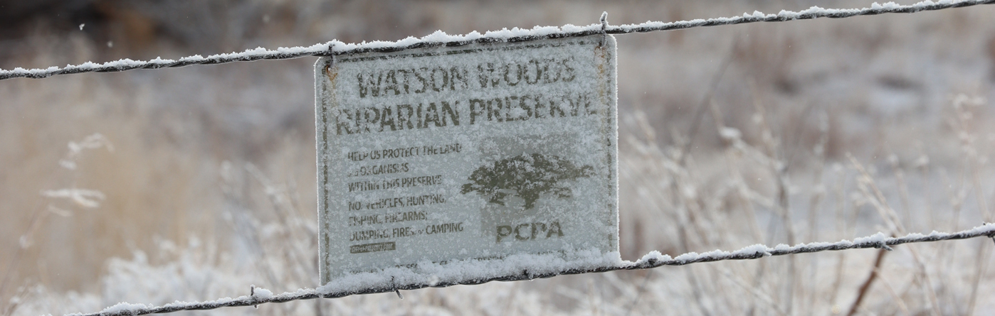 snowy sign