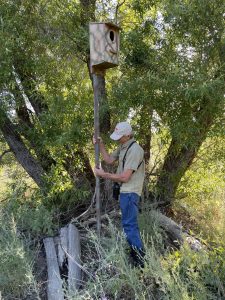 July 2023 Checking nest boxes