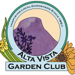 AVGC